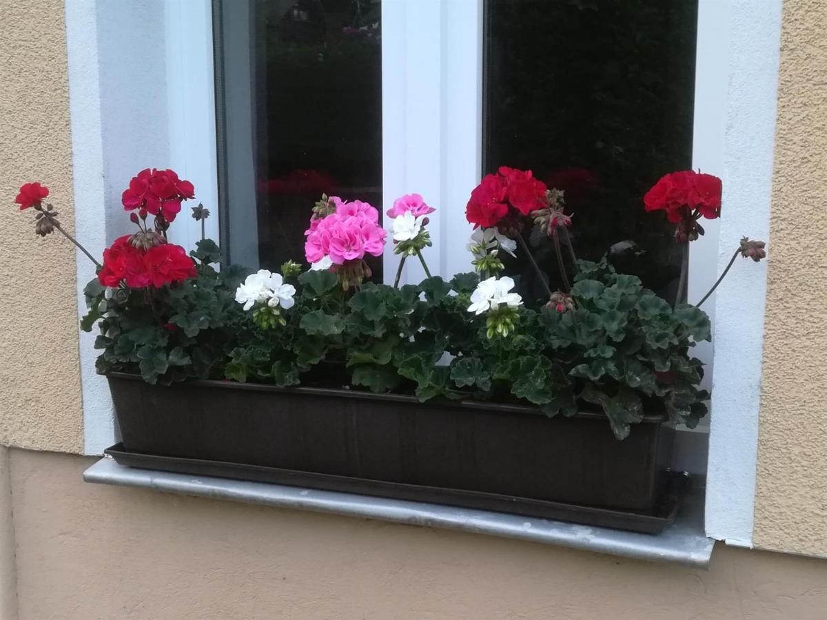 Apartment Rauscher