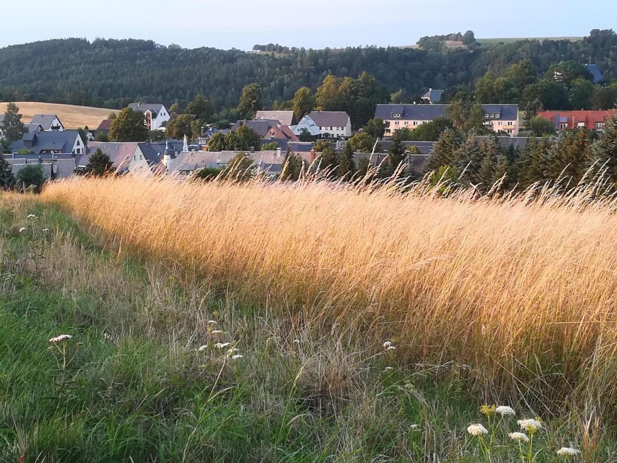Apartment Rauscher